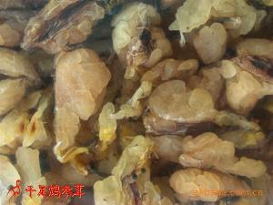 哈什蚂油 - 搜搜百科