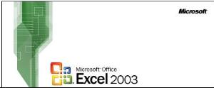 excel 2003 中的智能标记相对于图片