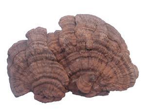 http:\/\/baike.soso.com\/v7937790.htm