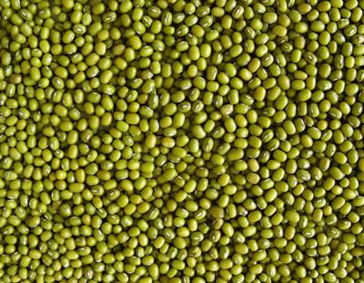 绿豆黄豆汤 【药物名称】绿豆 【英文名】mung bean 【别名】