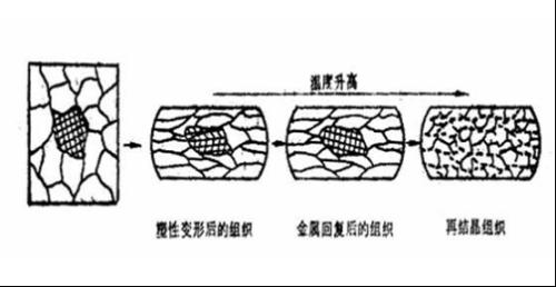 冷变形后的金属经再结晶退火所形成的晶体取向偏离随机分布的状态