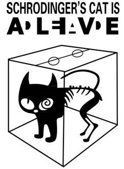 薛定谔的猫永远不知道它是死是活