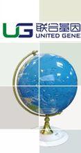 联合基因
