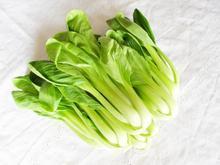 青江菜+-+搜搜百科