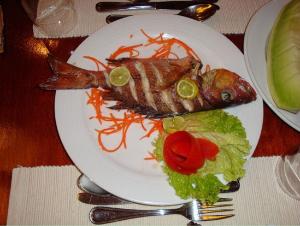 马尔代夫魔富士岛