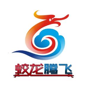 深圳市蛟龙腾飞网络科技有限公司