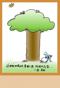 栽树_植树节为什么要种树有何意义
