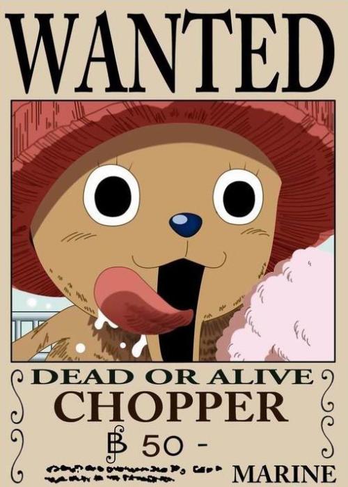 tony chopper(东尼东尼·乔巴)恶魔果实能力者(人人果实人形)【医生】