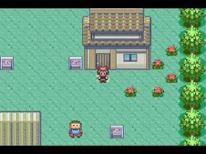 口袋怪兽-红宝石