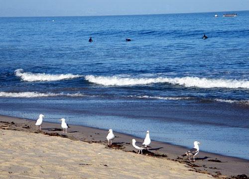 美国洛杉矶马里布(malibu)海滩受到大浪和海潮的冲击