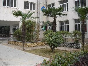 武汉市鲁巷中学