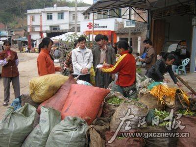 那楠乡冬季八角丰收上市 吸引外地客商收购; 宁明县那楠乡冬季八角