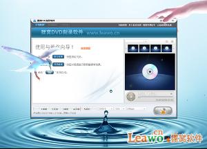 dvd视频光盘制作软件哪里买卖比较好的 美甲教
