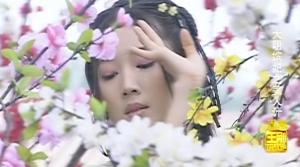 秋微(女一号)++《大明嫔妃之美人计》饰演:幽灵