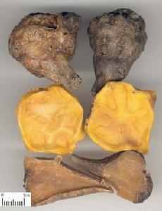 麻黄附子细辛_麻黄附子细辛汤医案_麻黄附子