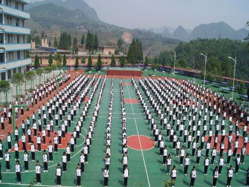 区和纳雍县共同投资兴建的一所县级中学,纳雍本地人称其为纳雍三中