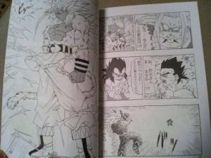 《龙珠af》实物书