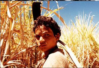 Ravi Ramos Lacerda (Pacu)