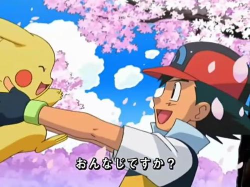 物小精灵》)++小智