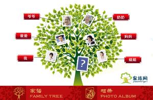 张氏族谱