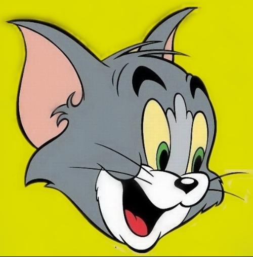 tom猫故事机图片集合 tom猫故事机