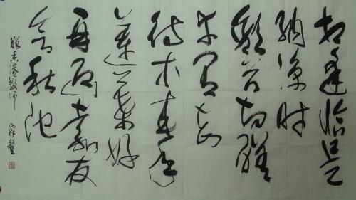 韩家鳌教授诗词(部分)书法作品欣赏集