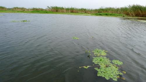 盐城九龙口风景区-+搜搜百科