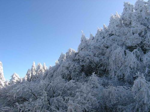 大坪霁雪