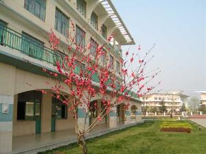 宝应县实验小学