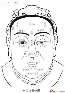 龙眉-+搜搜百科