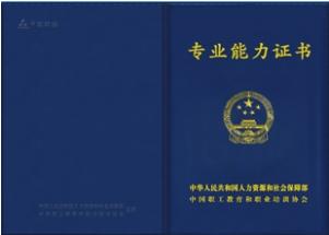 专升本:通向更广阔天空的阶梯