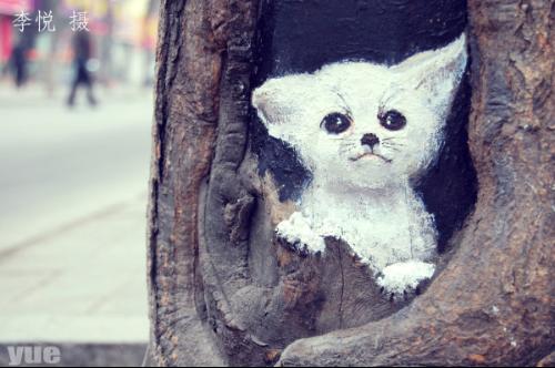 喜欢的几种街头艺术形式 - 新华博客 - News Bl