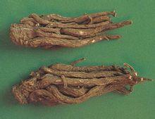 当归身+-+搜搜百科