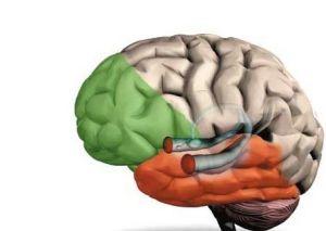 记忆幻觉+-+搜搜百科