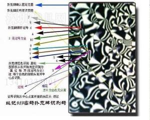 去哪里能买到姚记密码扑克牌呢