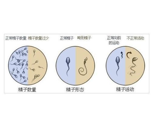 www.yongzhou.gov.cn