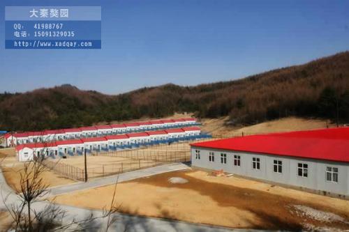 大秦獒园+-+搜搜百科