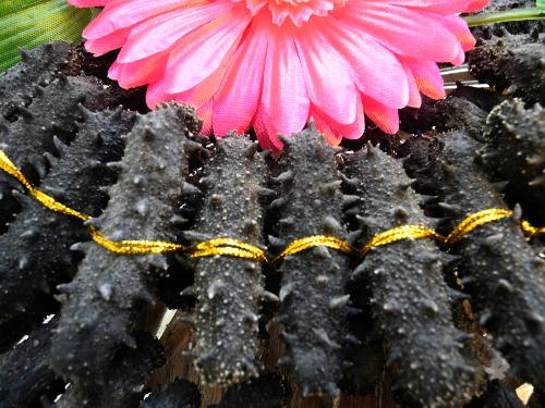 干海参怎么保存_活海参怎么做法图解_海参图