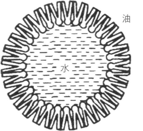渗透型乳化剂