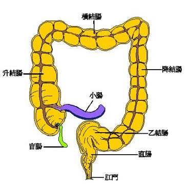 小儿先天性巨结肠 - 搜狗百科