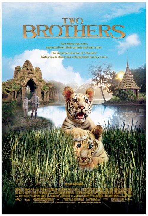 其实早在拍摄《子熊故事