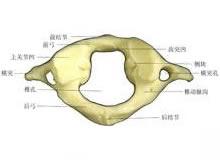 寰椎骨折脱位