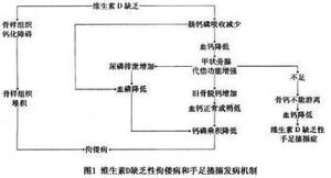 纠正例如先天性维生素b12吸收不良其原因是维生素b12被吸收后缺乏运输