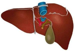 文章- 先天性胆道闭锁