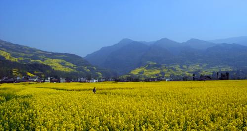 四川芦山县