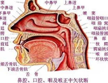 全身多处淋巴结均可受累,颅神经的损伤不如鼻咽癌多见,最后需要病理