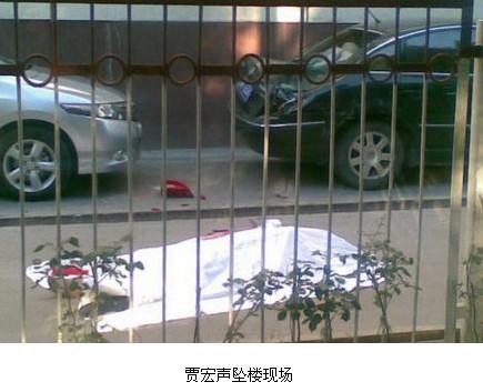 贾宏声+-+搜搜百科