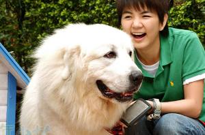 <em>花样少男少女</em> - 搜搜百科