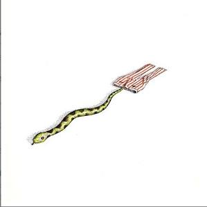 动物绝对不应该穿衣服<em>教案</em>_动物绝对不该穿衣