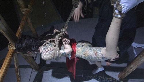 是2003年由官能女王<em>杉本彩</em>